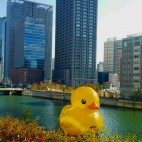 ユッキー
